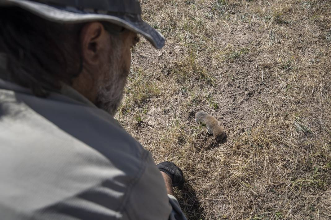 Tunceli'de bulundu: Uzmanlar tespiti koydu! Kansere yakalanmıyor 4